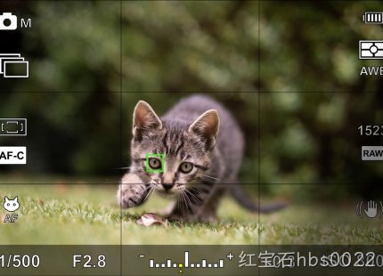 c8img4.jpg